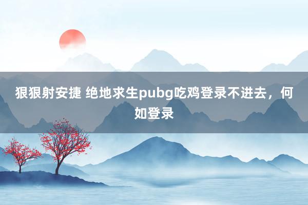 狠狠射安捷 绝地求生pubg吃鸡登录不进去，何如登录