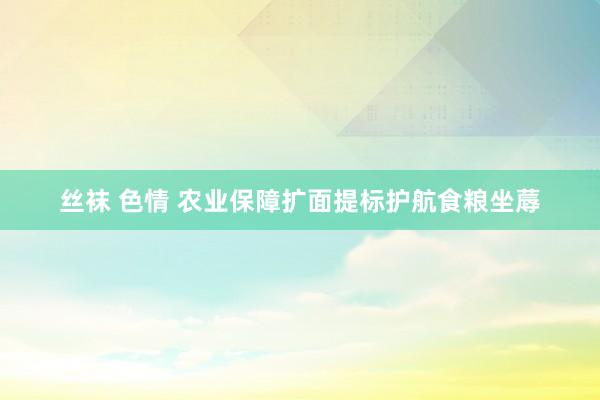 丝袜 色情 农业保障扩面提标护航食粮坐蓐