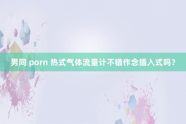 男同 porn 热式气体流量计不错作念插入式吗？