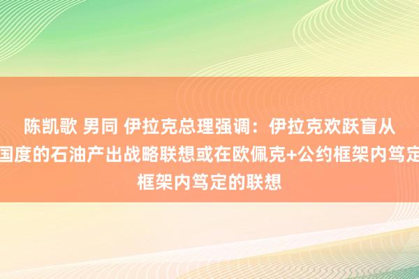 陈凯歌 男同 伊拉克总理强调：伊拉克欢跃盲从欧佩克国度的石油产出战略联想或在欧佩克+公约框架内笃定的联想