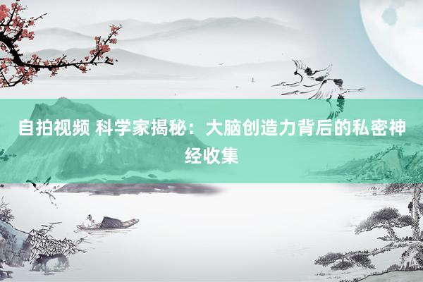 自拍视频 科学家揭秘：大脑创造力背后的私密神经收集