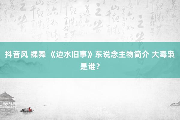 抖音风 裸舞 《边水旧事》东说念主物简介 大毒枭是谁？