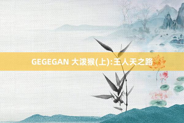 GEGEGAN 大泼猴(上):王人天之路